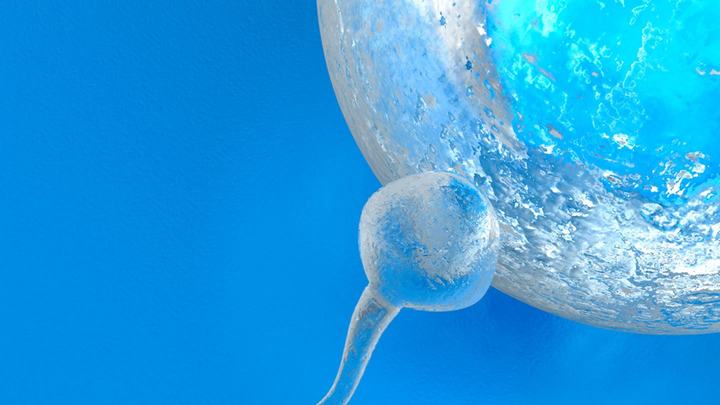 In vitro fertilisation (IVF)
